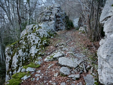 Sur le chemin du Ranc