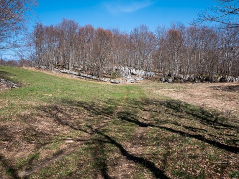 Paysage d'un lapiaz des Prés