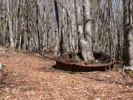 Reste d'un founeau à charbon de bois