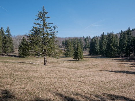 La Clairière de Patente