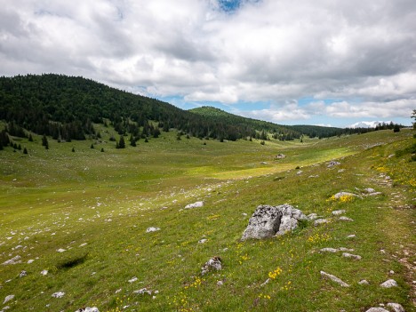 La bergerie de Darbounouse, juil. 2021