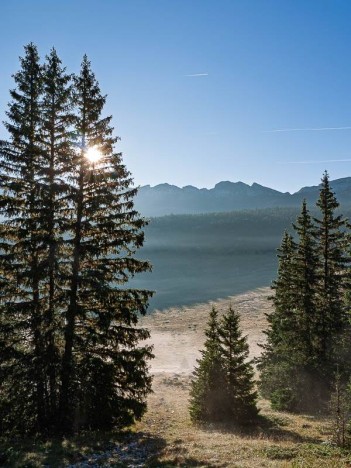 Prairie de Darbounouse