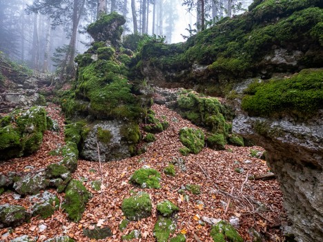 Arche du Coulou, nov. 2021