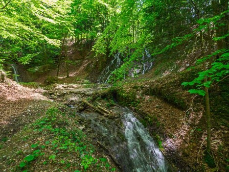 Cascatelles sous les ruines de l'ancienne Chartreuse
