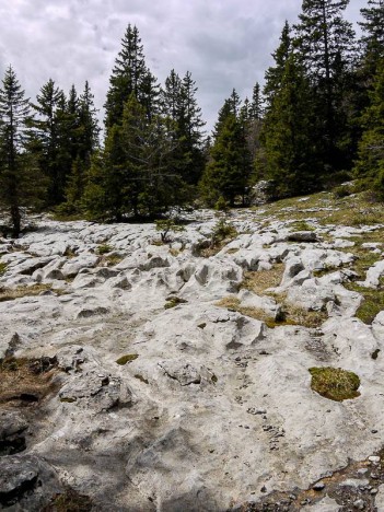 Lapiaz du Sentier des Génisses