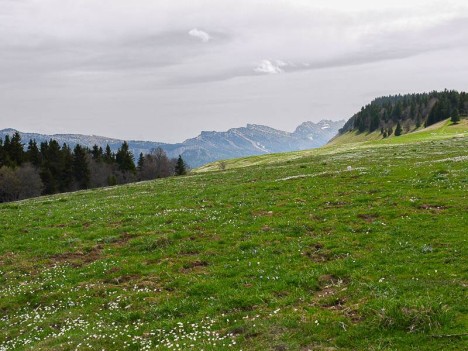 Charande et l'alpage de la Molière