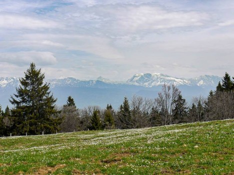 Chamrousse et le Taillefer