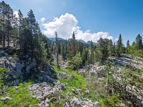Muret du chemin de la doline