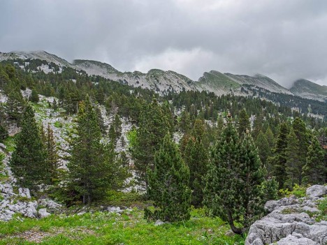 Les crêtes des Rochers du Ranc Traversier