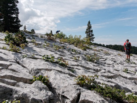 Dalle lapiazée typique du relief des Erges