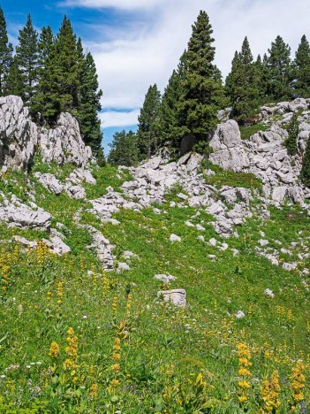 Sentier de la Grande Ruine