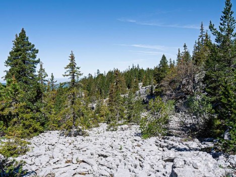 À travers un lapiaz des Erges