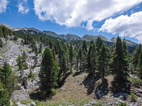 Les crêtes du Ranc Traversier