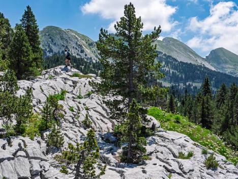 Lapiaz sous les crêtes du Ranc Traversier
