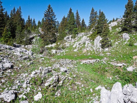 Plateforme charbonnière des Erges