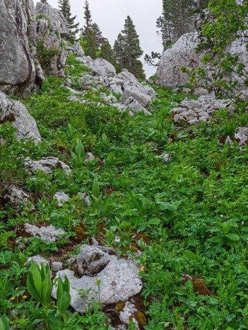 Le talweg de la grande ruine