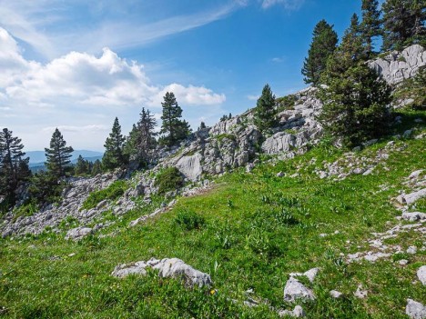 Terrasse taillée dans la pente