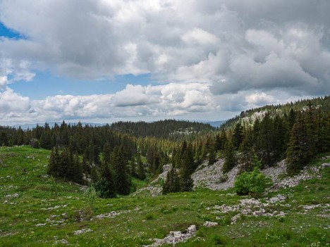Tiolache-Haut, le Canyon des Erges