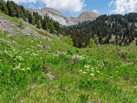 Le Sommet de Malaval