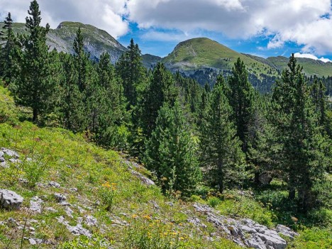Sommet de Malaval