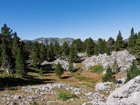 Vers la Fontaine Pourrie