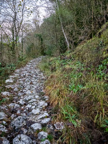 Le chemin pavé du Pont des Chartreux, nov. 2019