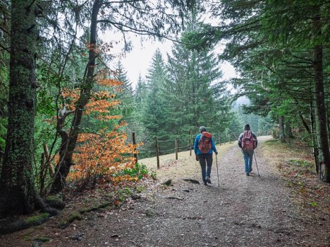 Vers la Croix du Lichou