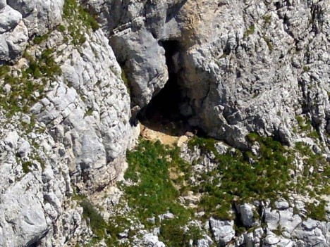 Chamois couchés devant une grotte