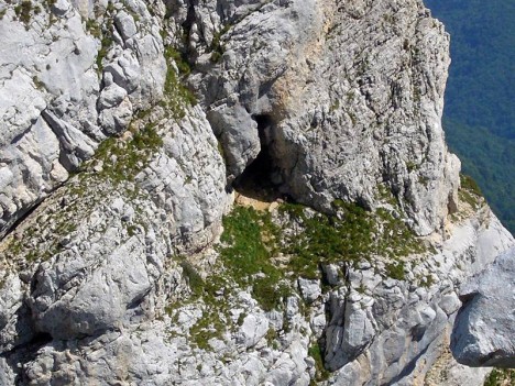 Chamois devant une grotte en rive gauche du Grand couloir