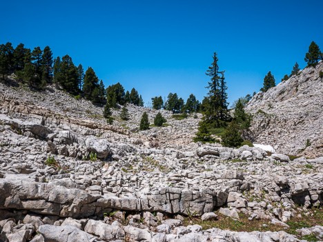 Lapiaz du gouffre du Grand Pot