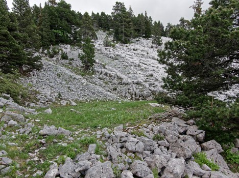 Terrasse du talweg du Grand Pot