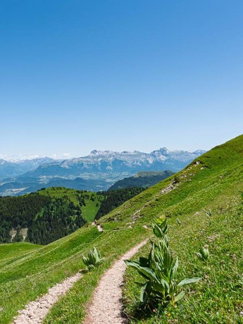 Sentier aux gentianes