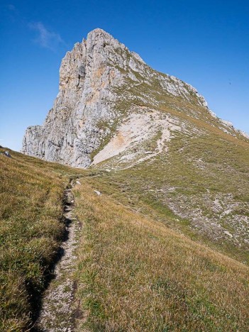 La Grande Moucherolle