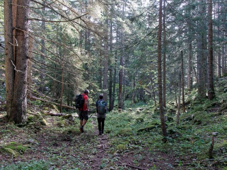 Talweg entre le Jas de la Plume et la Draye des Bergers