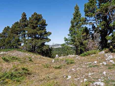 Cairn sur le sentier de la plaine de la Longue Fissole