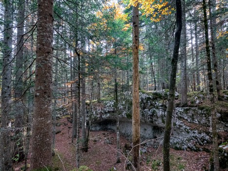 Jolie balme sur le Brû, oct. 2022