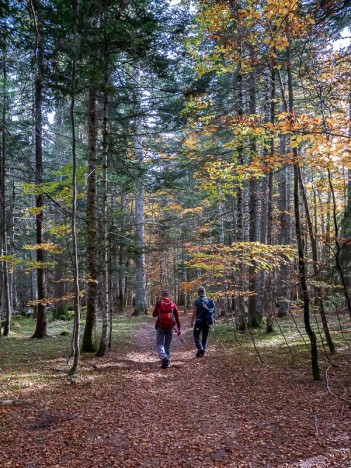 Par le chemin sur le Brû, oct. 2022