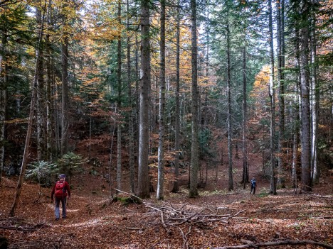 Approche du Gouffre de la Loubière, oct. 2022