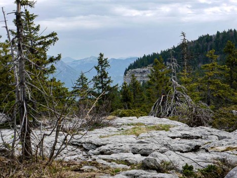 Lapiaz de la combe du Gouffre Berger