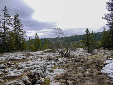 Lapiaz entre Plénouze et le Plateau de Sornin