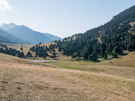 Le Col de Jiboui