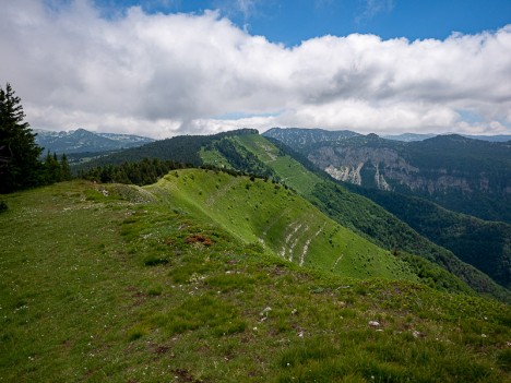 La Tête du Faisan, sur la crête au loin, juin 2021