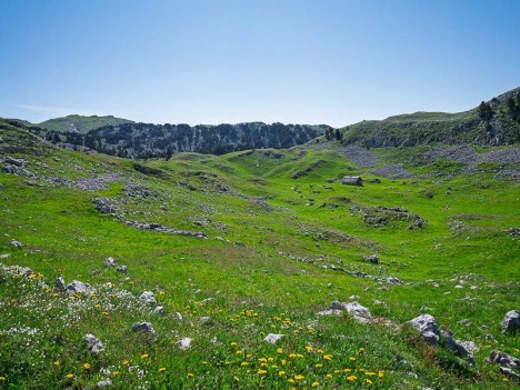 Doline de la Jasse du Lau
