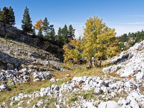 Abri rocheux vers 1710 m