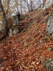 Feuilles d'automne sous Château Bouvier