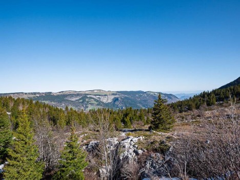 La Combe de Saint-Nizier face à Charande
