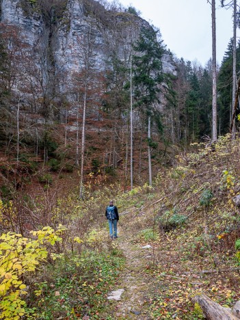 Sentier d'approche du Pas du Curé, nov. 2021