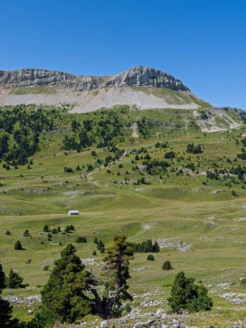 Le Sommet de la Montagnette