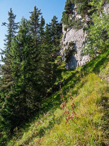 Sentier des Quatre Têtes