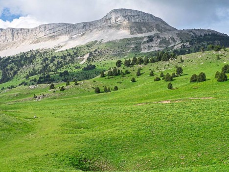 Le Sommet de la Montagnette